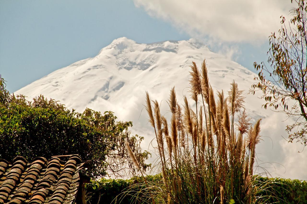 Hacienda San Agustin De Callo Lasso المظهر الخارجي الصورة